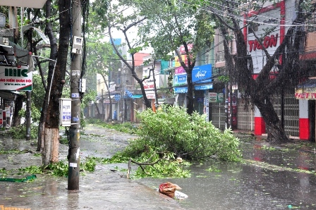 Storm Nari causes destruction in Da Nang city